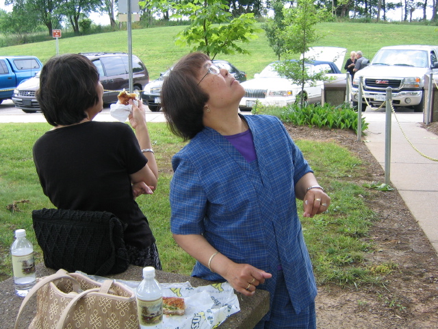 Mom looking for Cicadas at a West Virginia rest top