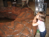 Jade looking at a crocodile