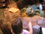 Jade throwing money at a crocodile